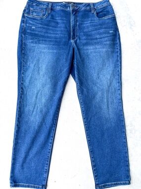KUT from the Kloth Women's 20W Blue Stretch Straight Leg Jeans Plus Size